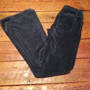 Joe's Velvet Flare Jeans